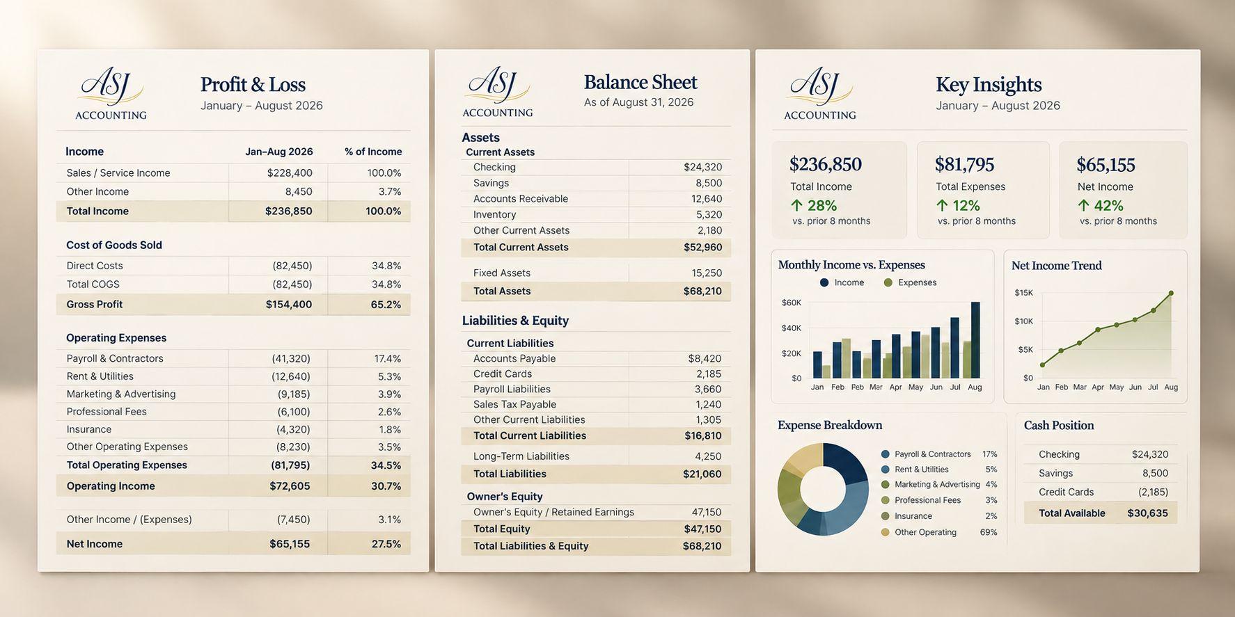 Illustrative Monthly Accounting reporting with Profit & Loss, Balance Sheet, and Key Insights